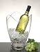 Kitchen & Housewares : Prodyne 'SALSA' Wine Bucket (AB-21)