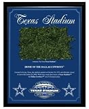 Steiner Sports Texas Stadium Final Season Turf Plaque