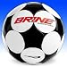 Sporting Goods : International Handsewn NFHS Soccer Ball from Brine - Size 5