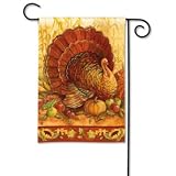 Holiday Turkey Time Thanksgiving Garden Flag Ba