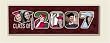 Wood Scrapbook Photo Frame ~ Graduation Class of 2007 - burgundy ~ 8 inch by 24 inch ~ code 421