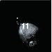 11(��������)(DVD�t)