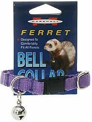 Marshall Ferret Bell Collar, Purple