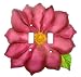 Switch Plate Spring Peony Flower Bloom Double Lightswitch Plate Cover