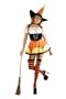 Women Small (5-7) Sassy Candy Corn Witch Costume (Broom/Shoes Not Included)