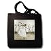 Kike Calvo Dance - Happy ballet dancer with a romantic dress yet wearing converse snickers,the joy of being different - Tote Bags