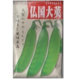 在来固定種　野菜の種「仏国大さやえんどう」20ml〔約65粒〕　畑懐〔はふう〕