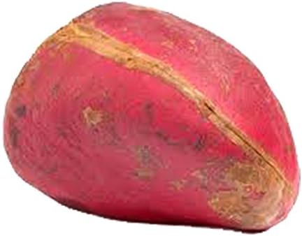 Cola Nut Big