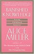 Banished Knowledge: Facing Childhood Injuries