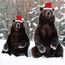 Shelter and St Mungos Charity Christmas Cards - Grizzly Bears (Pack of 8)