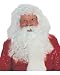 Santa Wig and Beard-Quality Synthetic Adult