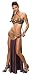 Women's Secret Wishes Princess Leia Slave Costume, Multi, S (6/9)