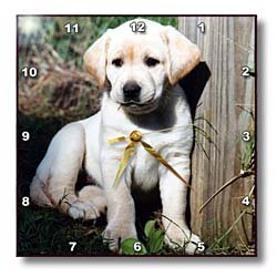 Cute Yellow Lab Puppy - 10x10 Wall Clock