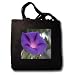 Purple Morning Glory Flower - Black Tote Bag JUMBO 20w X 15h X 5d