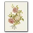 Roses, variegated red/white - Gift Enclosure Cards (set of 12)