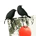 puhlmann �С��ɥ���å� Bird Clip��[����å� 8�ĥ��å�]