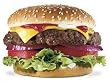 Free Range Grass Fed Organic Ground Beef - 10 Pounds