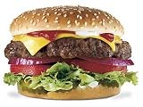 Free Range Grass Fed Organic Ground Beef - 10 Pounds