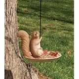Evergreen Enterprises Squirrel Portly Hanging Feeder by A Bird