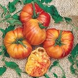 Tomato Seeds - Tomato Big Rainbow