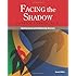 Facing the Shadow