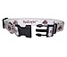 Pet Goods Medium Collegiate 3/4-Inch by 14-Inch - 20-Inch  Dog Collar, Ohio State University