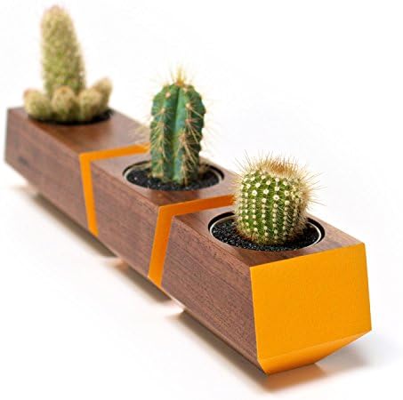 Boxcar Succulent Planters - Solid Walnut with Orange