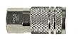 AMFLO 1/4" NPT Female Threads to Quick Female