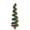 Cedar Pine Twig Potted Spiral - Dark Green