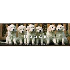 Literarischer Tischkalender Hunde 2013