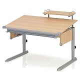 Kettler 06625-272 Schreibtisch School silber / buche