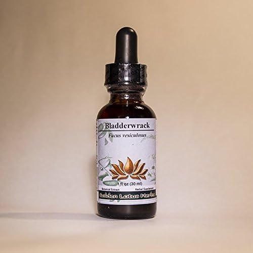 Bladderwrack Botanical Extract - 1 Fluid Oz.