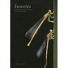 Insectes