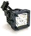 XL-5200 COMPATIBLE PROJECTION LAMP WITH HOUSING FOR SONY 30DAYS REFUND &120DAY WARRANTY