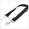 Collars & Leads