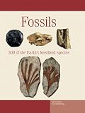  : Fossils