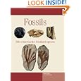 Fossils (Expert Guides)