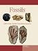 Third Party New : Fossils (Expert Guides)