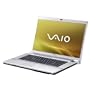 Sony Vaio -FW21E 41,7 cm (16,4 Zoll) WXGA++ Notebook (Intel Pentium P8400 2,2GHz, 4GB RAM, 320GB HDD, ATI Mobility Radeon HD 3470, Blu-ray/ DVD+- DL RW, Windows Vista Home Premium)