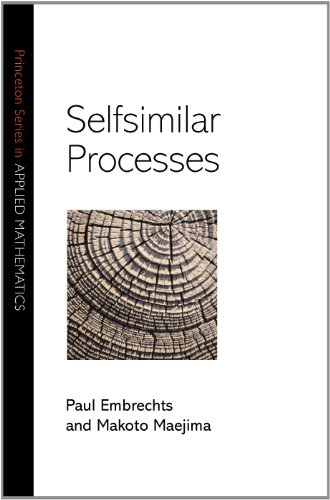 Selfsimilar Processes (Princeton Series in Applied Mathematics)
