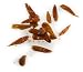 Frieda's Dried Japones Chiles