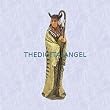 Shaman of z spirit world statue Indian Style Sculpture (The Digital Angel Decor)