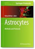 Astrocytes: Methods and Protocols (Methods in Molecular Biology)