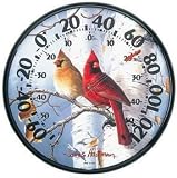 James Hautman 12 In/Outdoor Cardinals Therm.