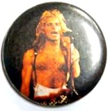 Van Halen~ Van Halen Button~ David Lee Roth~ Rare ... thumbnail