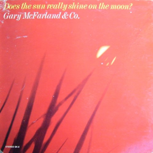 Does the Sun Really Shine on the Moon? [Vinyl LP] [Schallplatte]