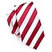 Hi-Tie Mens Striped Tie Set Silk Classic
