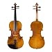 Cecilio CVN-500 4/4 Size (Full Size) Ebony Fitted Antique Finish Flamed Violin with Case and Accessories