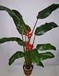 7' Deluxe Heliconia Flowering Tree (red)