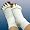 Foot Alignment Socks Large X Large
